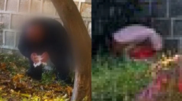 139.jpg